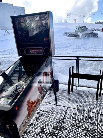 flipper dans la neige