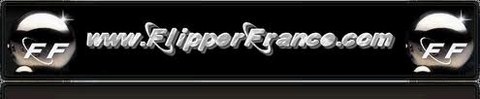 Le site et forum flipper france