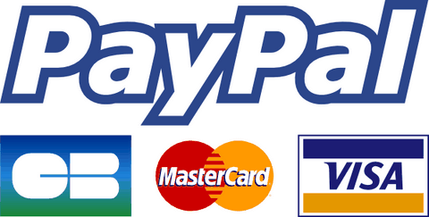Paiement Carte Bleue et Paypal, paiement Carte bancaire